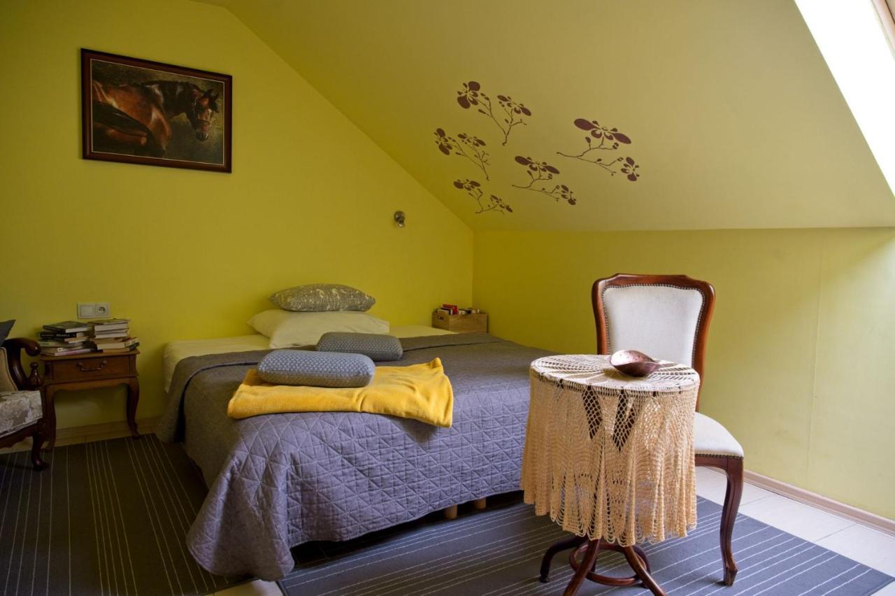 Medison Family Boutique B&B Kielce